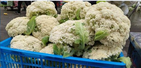 2020年10月25日白花菜花价格行情、今日白花花椰菜多少钱一斤?