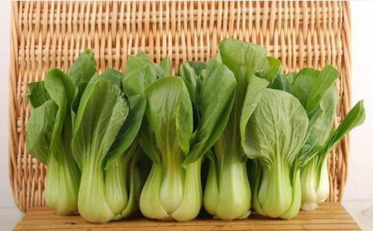 2020年10月29日青菜价格行情、今日各种青菜多少钱一斤?