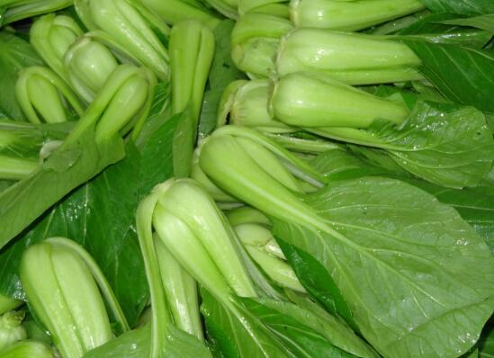 2020年10月29日油菜价格行情、今日油白菜多少钱一斤?