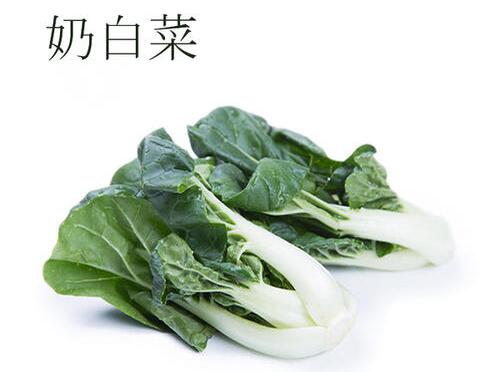 2020年10月29日奶白菜价格行情、今日奶白菜多少钱一斤？