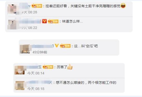 牵牛花嫁接红薯也行!种出“空中红薯”引热议!