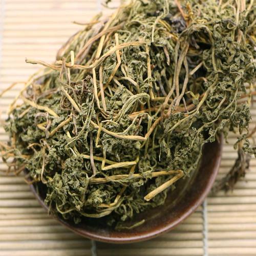 毒蛇咬伤中草药蛇不见介绍,(夏无踪)蛇不见草药图片大全!
