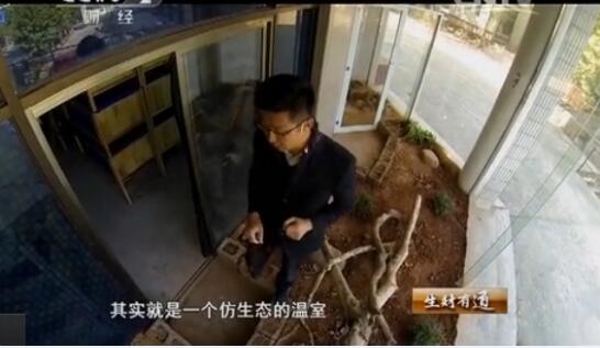 黄峰养蛇图片2