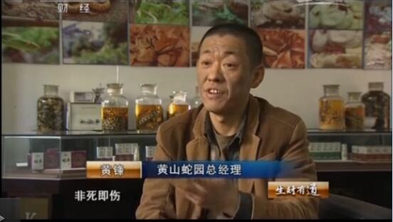 黄峰养蛇图片6