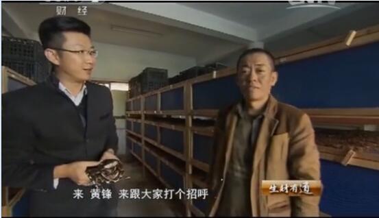 黄峰养蛇图片44