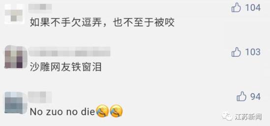浙江男子凌晨玩球蟒被咬!竟剪掉蛇头发朋友圈炫耀!