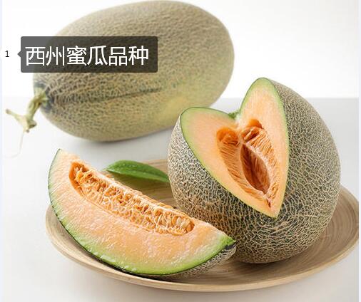 2020年11月6日西州蜜瓜价格行情、今日西州蜜瓜多少钱一斤?