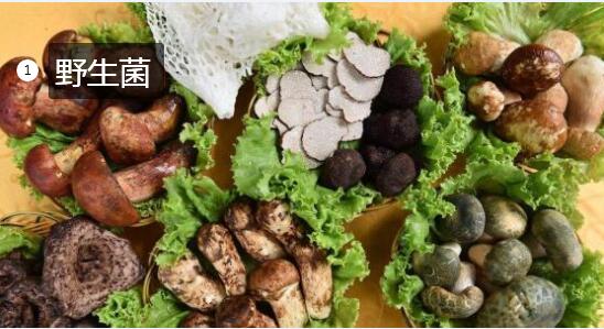 2020年11月6日野生菌价格行情、今日野生菌多少钱一斤?