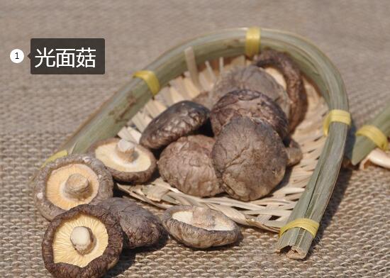 2020年11月7日光面菇价格行情、今日光面香菇多少钱一斤?