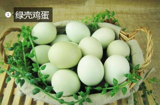 2020年11月7日绿壳鸡蛋价格行情、今日绿壳鸡蛋多少钱一斤?