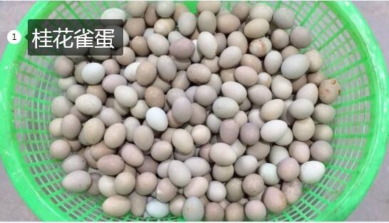 2020年11月7日桂花雀蛋价格行情、今日桂花雀蛋多少钱一斤?