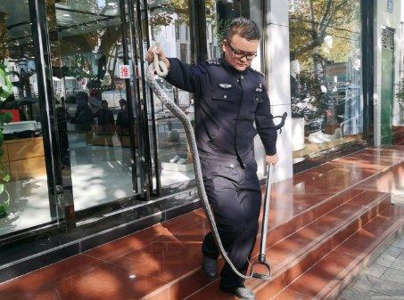 山阳一商场“蛇出没”!民警轻松擒获“菜花蛇”并放生!