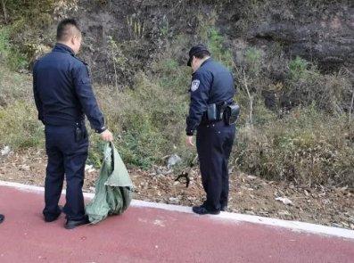 山阳一商场“蛇出没”!民警轻松擒获“菜花蛇”并放生!
