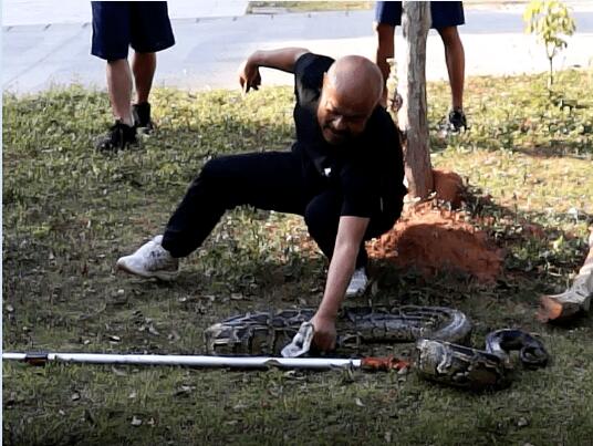 西双版纳州消防救援支队 开展捕蛇技术专业培训！