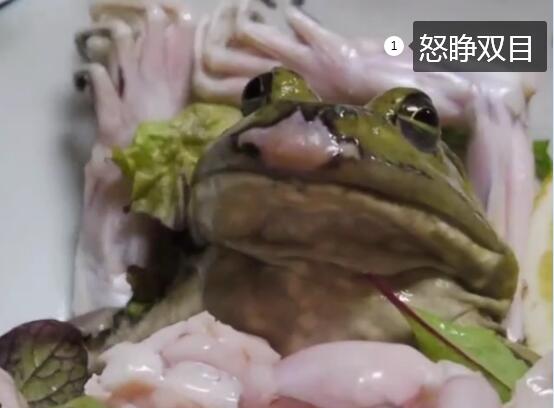 日本料理生吃牛蛙图1