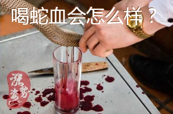 喝蛇血会怎么样图1