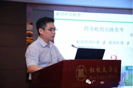 广西蛇业转型座谈会图6