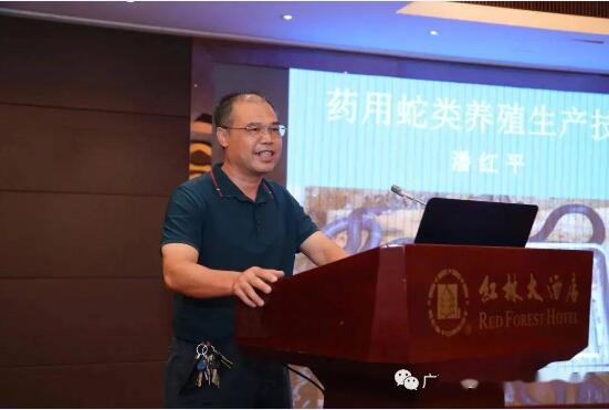 广西蛇业转型座谈会图7
