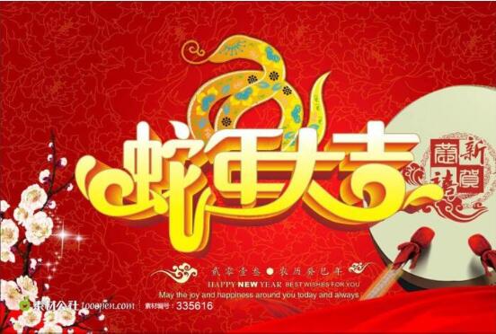 蛇年图片素材12