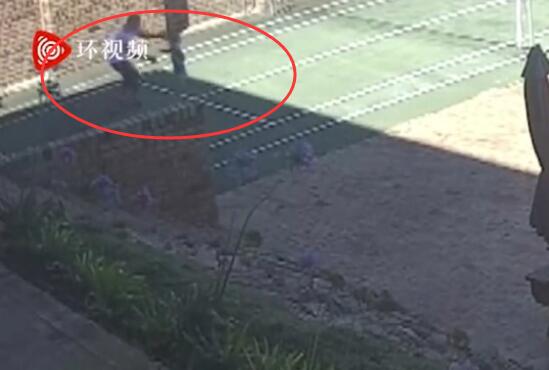澳洲3岁女童被毒蛇咬伤,机智奶奶及时采取正确急救措施!