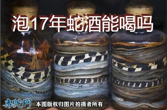 泡17年蛇酒能喝吗图1