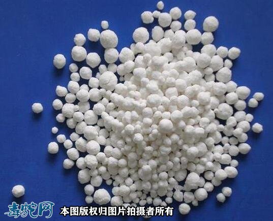 蛇毒干燥的常用干燥剂有哪些3