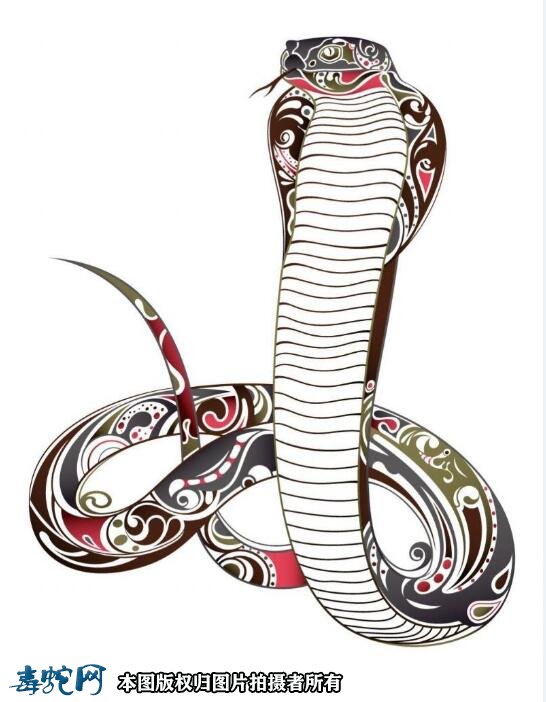 眼镜王蛇的卡通图片大全8
