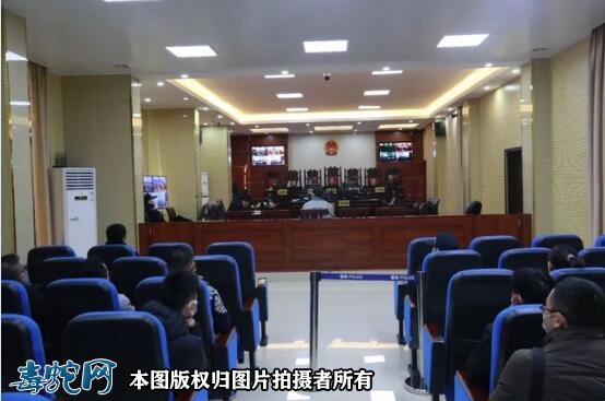 肇庆高某用蛇、鸟浸酒共计58瓶,被判刑事附带民事赔偿96.68万元!