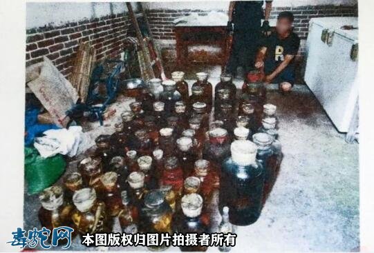 肇庆高某用蛇、鸟浸酒共计58瓶，被判刑事附带民事赔偿96.68万元！