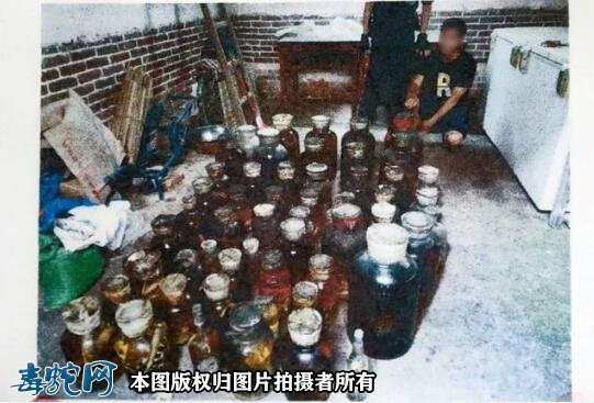 肇庆高某用蛇、鸟浸酒共计58瓶,被判刑事附带民事赔偿96.68万元!