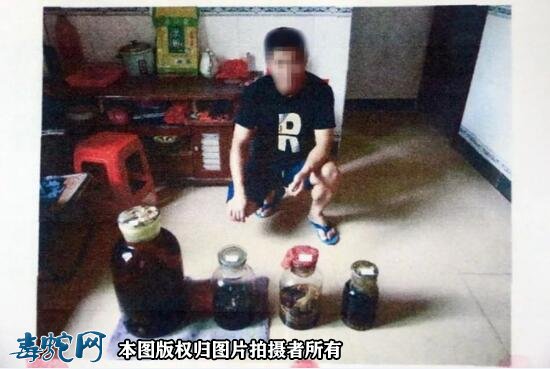 肇庆高某用蛇、鸟浸酒共计58瓶,被判刑事附带民事赔偿96.68万元!