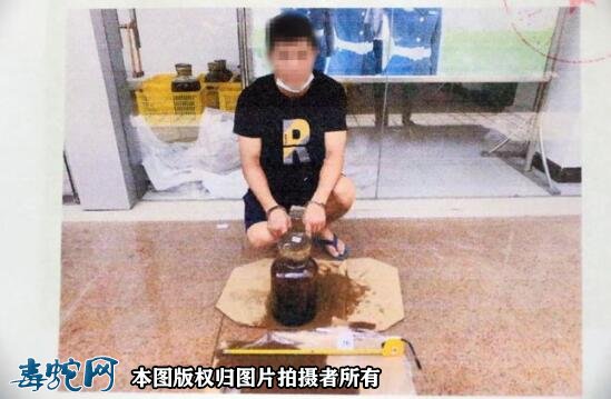 肇庆高某用蛇、鸟浸酒共计58瓶,被判刑事附带民事赔偿96.68万元!