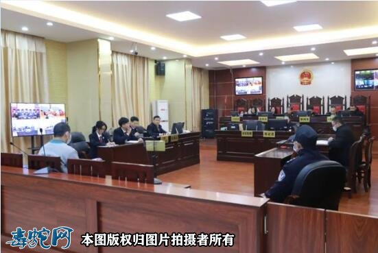 肇庆高某用蛇、鸟浸酒共计58瓶,被判刑事附带民事赔偿96.68万元!