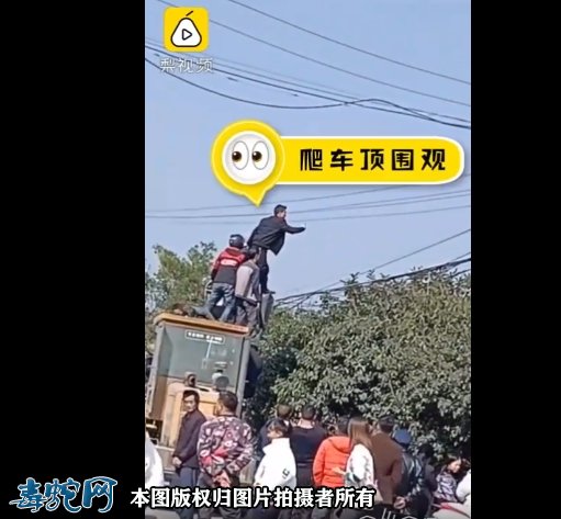 贵州两条蛇遇晴天就出来晒太阳!大叔爬车顶把蛇当明星狂拍!