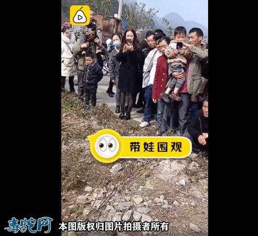 贵州两条蛇遇晴天就出来晒太阳!大叔爬车顶把蛇当明星狂拍!