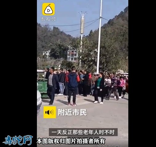 贵州两条蛇遇晴天就出来晒太阳!大叔爬车顶把蛇当明星狂拍!