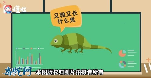 麻蜥蜴怎么分公母区分图2
