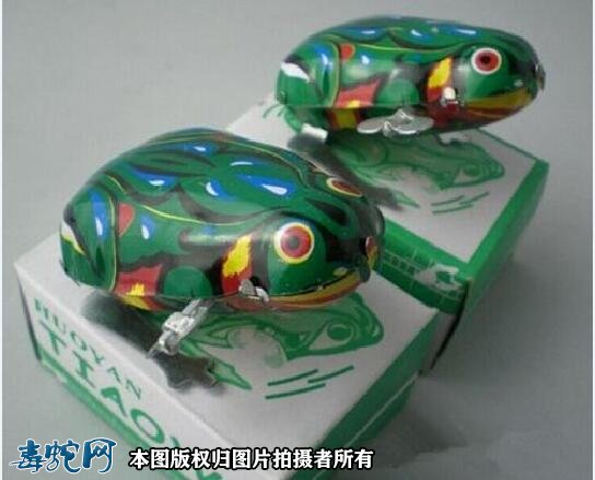 铁皮青蛙玩具图片2