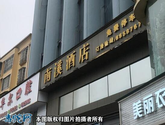 贵阳男子住酒店枕头下一条活蛇！瞬间吓懵！