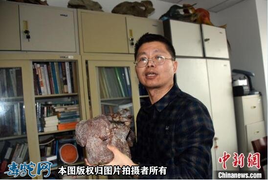 九峰吐鲁番兽是什么动物？中国发现2.5亿年前九峰吐鲁番兽！