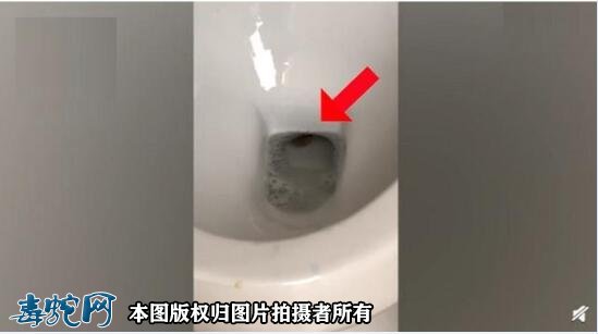 澳洲妇女蹲马桶被蛇咬屁股!柬埔寨男子上厕发现一条眼镜蛇!