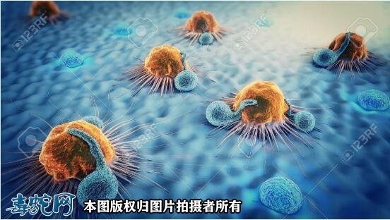癌症有救了!美国一科学家发现蛇毒能杀死癌细胞!