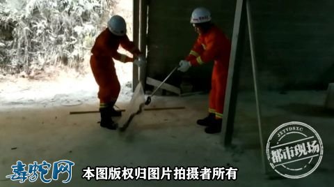 江西1米长眼镜王蛇藏身村民房屋角落!消防官兵出手捕捉!