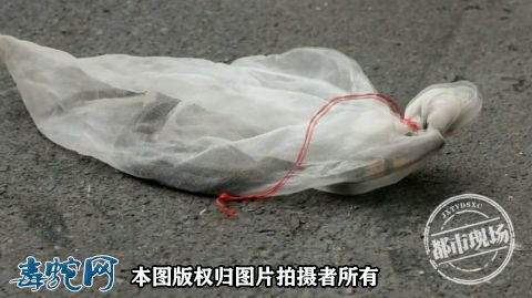 江西1米长眼镜王蛇藏身村民房屋角落!消防官兵出手捕捉!