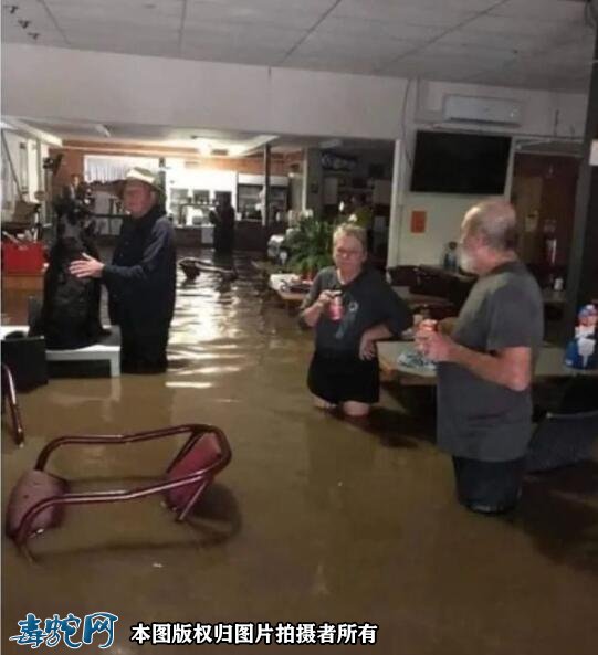 澳洲大洪灾后毒蛇蜘蛛老鼠泛滥满地!