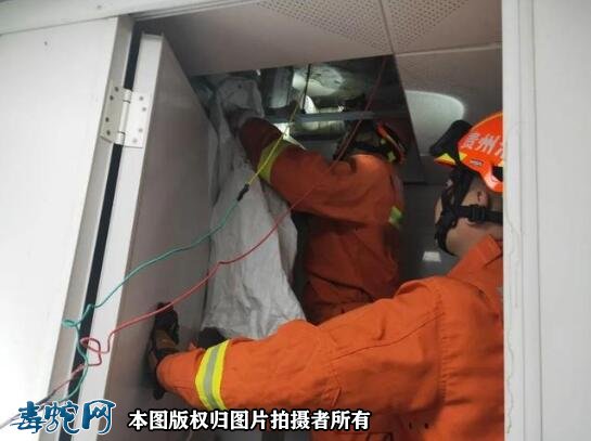 贞丰县一村民家厕所蹲坑里有条眼镜蛇!消防救援放生野外!