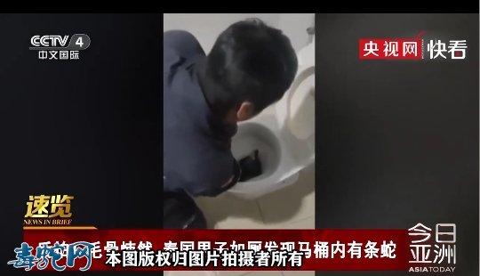 泰国男子上厕所发现马桶内有条蛇!长达2.5米大蟒蛇!