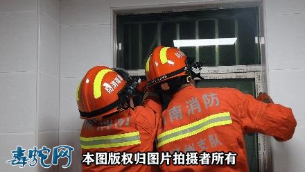 当下深圳毒蛇进入活跃期!外出游玩要防治毒蛇咬伤!