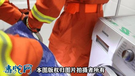 当下深圳毒蛇进入活跃期!外出游玩要防治毒蛇咬伤!