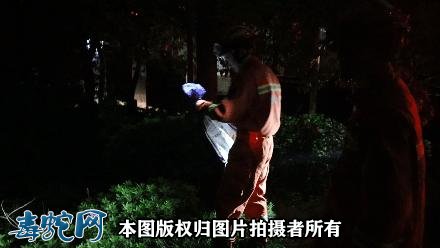 当下深圳毒蛇进入活跃期!外出游玩要防治毒蛇咬伤!